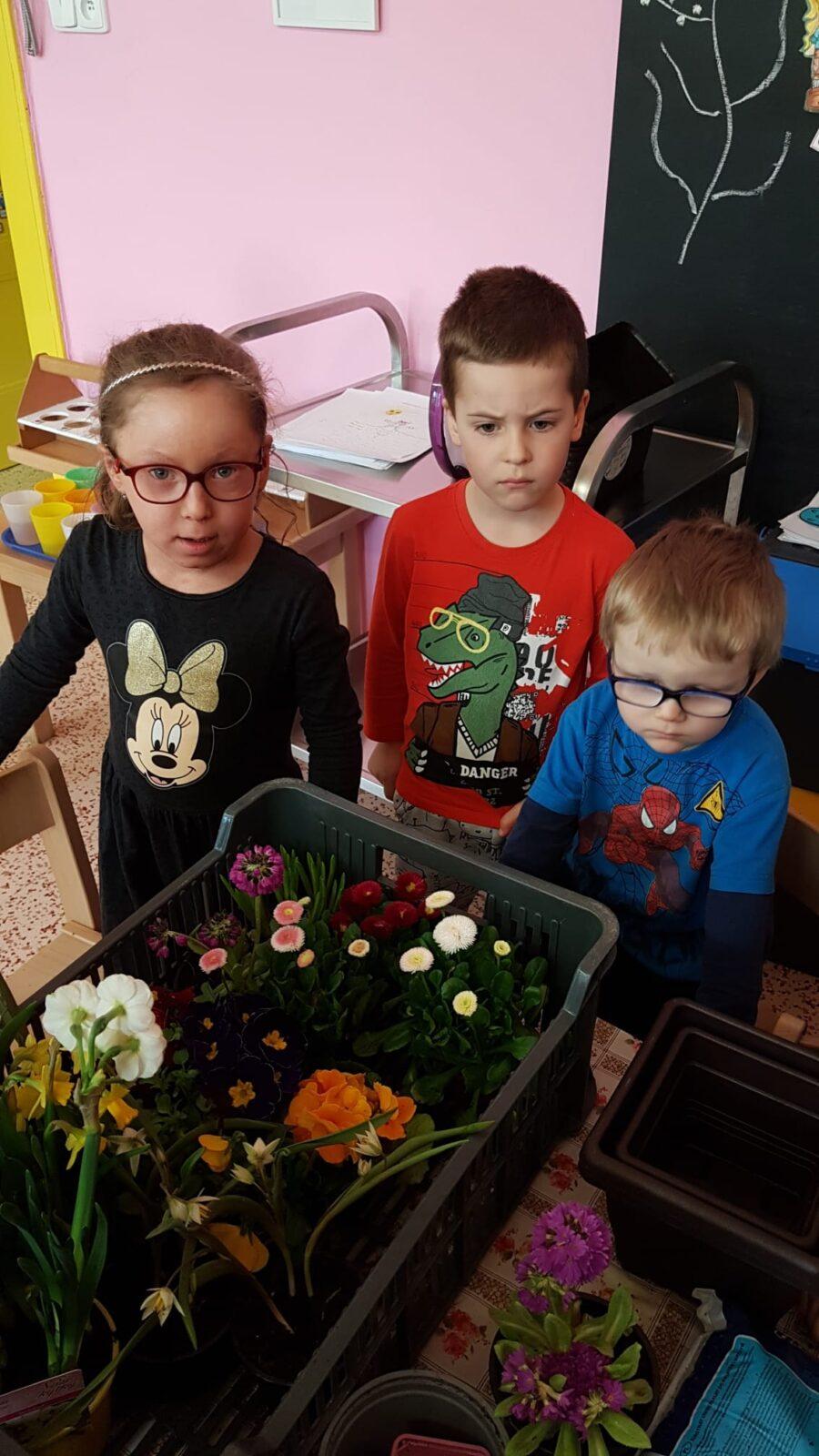 "Sázíme kytičky a děláme pokusy" - 7