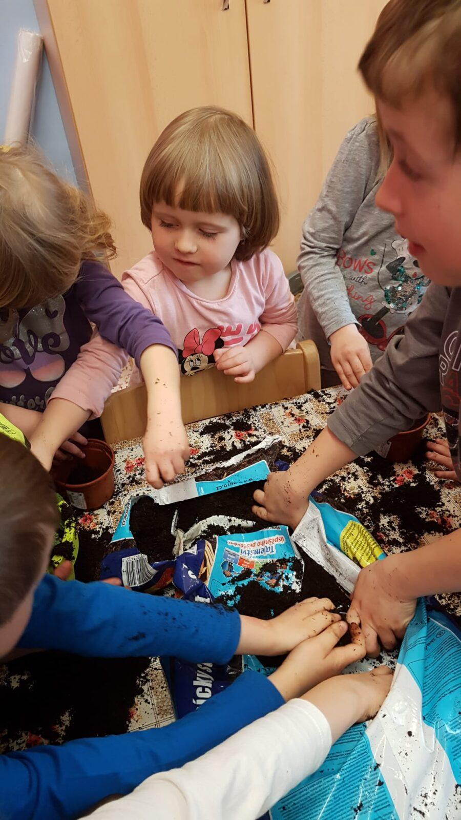 "Sázíme kytičky a děláme pokusy" - 12