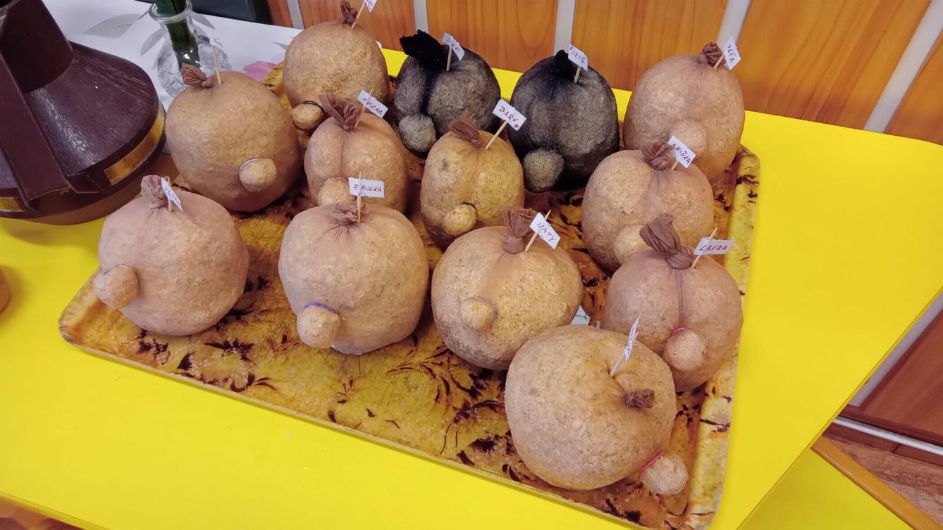 Kamínek mého domova aneb vítání jara - 113