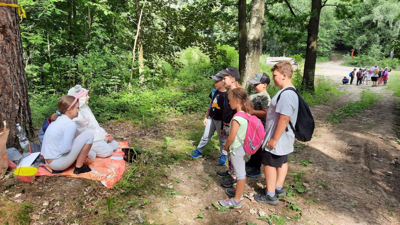 Pohádkový les na 1. stupni - 25