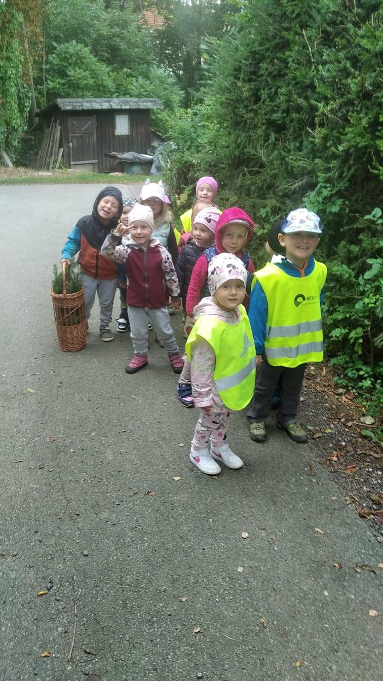 Broučci - Poznáváme les a lesní stezka ve školce - 8