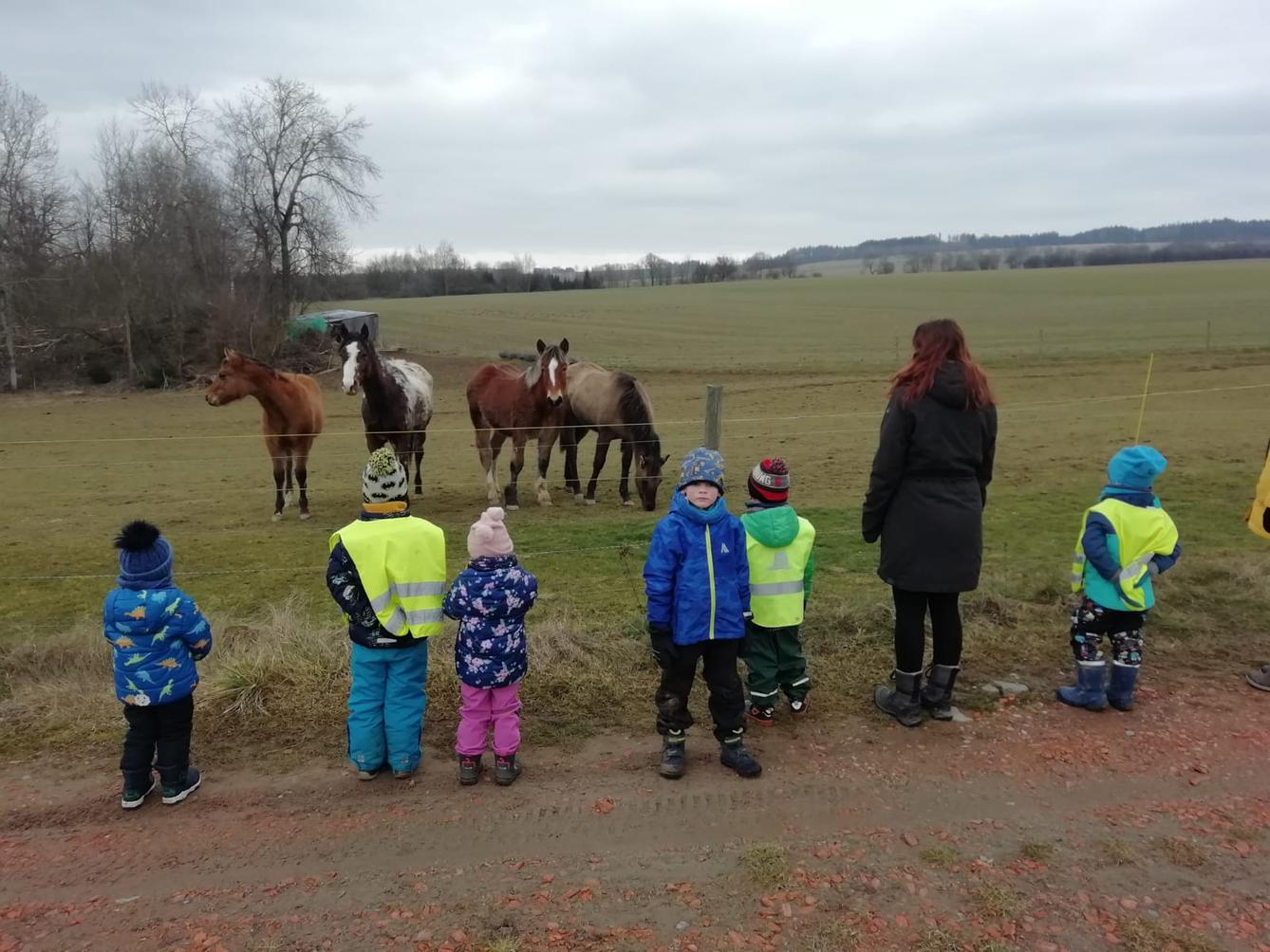 Broučci: Povídám, povídám pohádku - 15