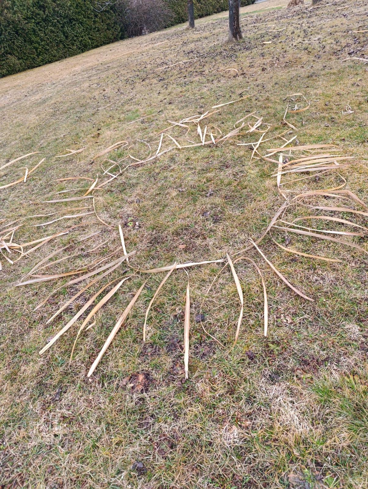 BROUČCI - ,,O ZAKLETÝCH STROMECH, PŘIŠLO JARO DO VSI´´ - 1