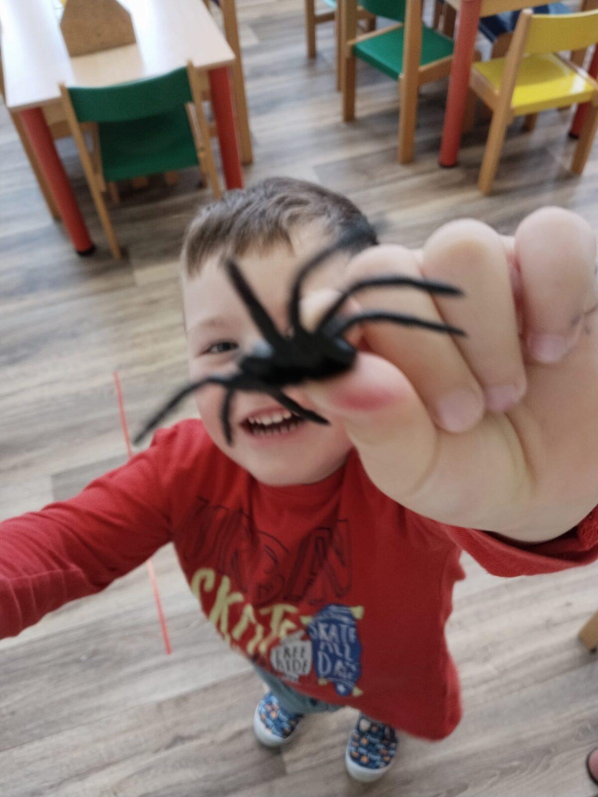 Broučci: poznáváme les - 9