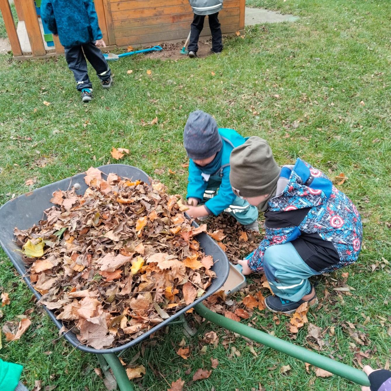 broučci: listí žloutne poletuje - 1