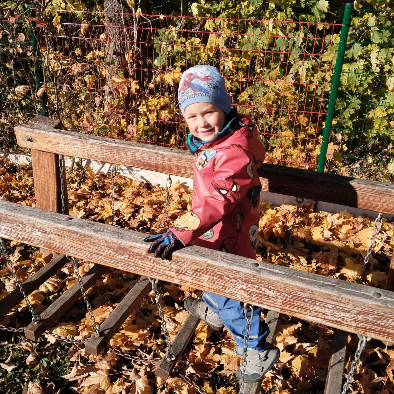 broučci: listí žloutne poletuje - 7