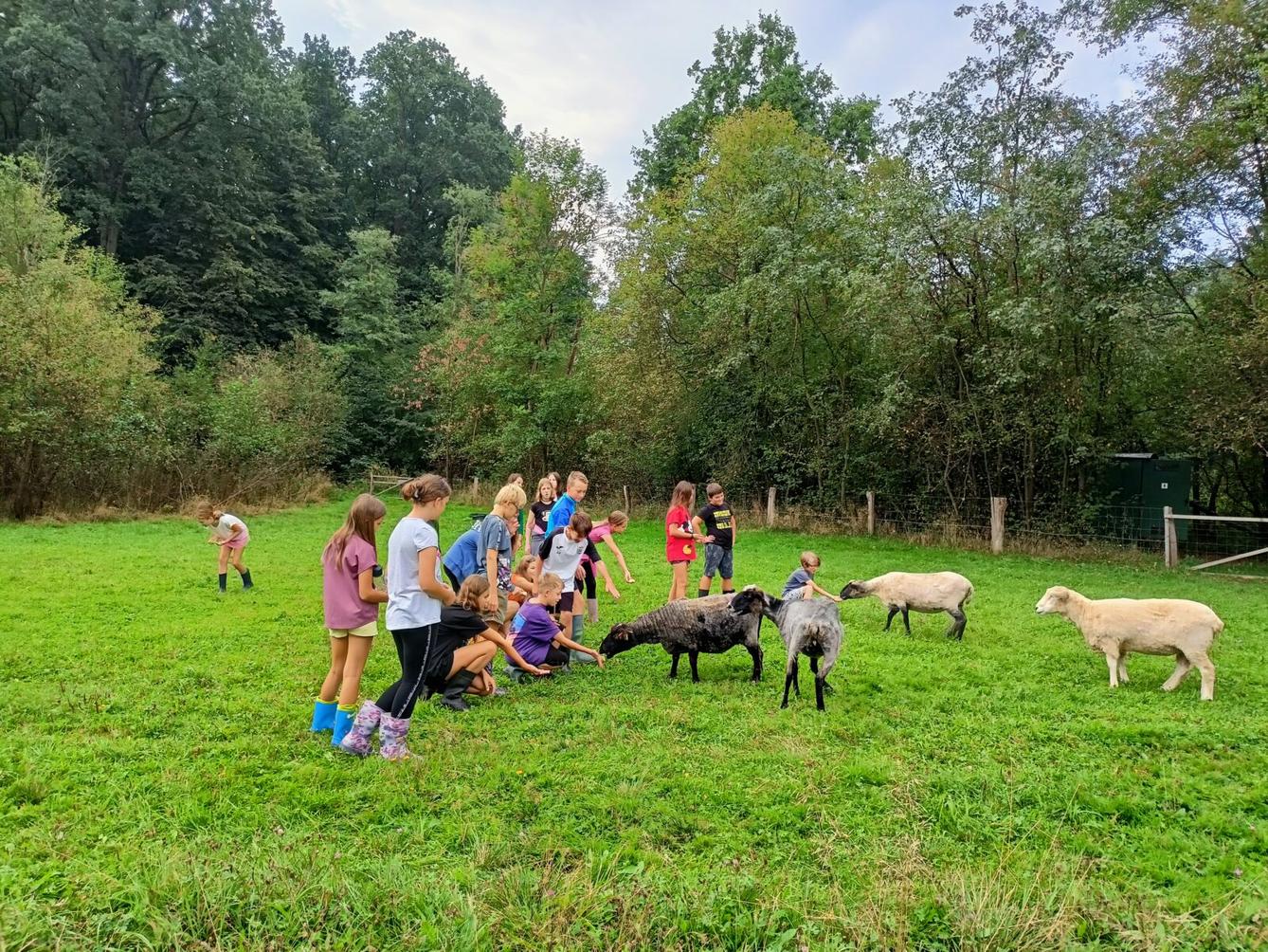 Adaptační kurz 6. třídy 12. - 15. 9. 2023 Sedmihorky - 17