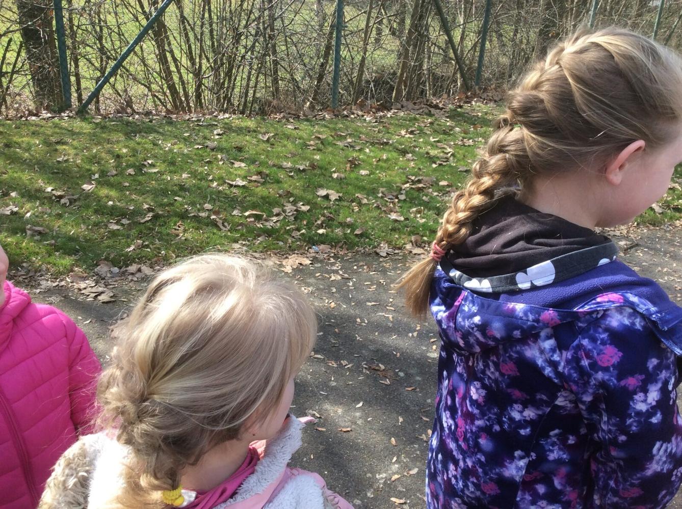 ŠD - kadeřník - účes roku - 31