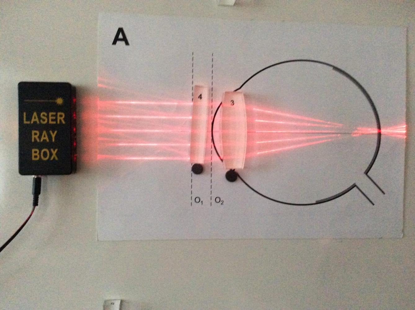 Projektový den na Gymnáziu ÚO - 8. třída - 12