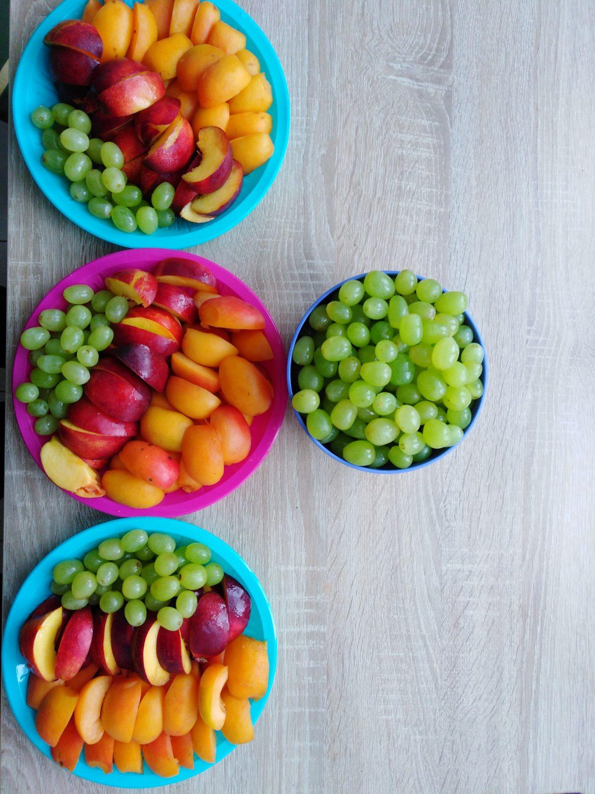 workshop zahrada:-) - 18