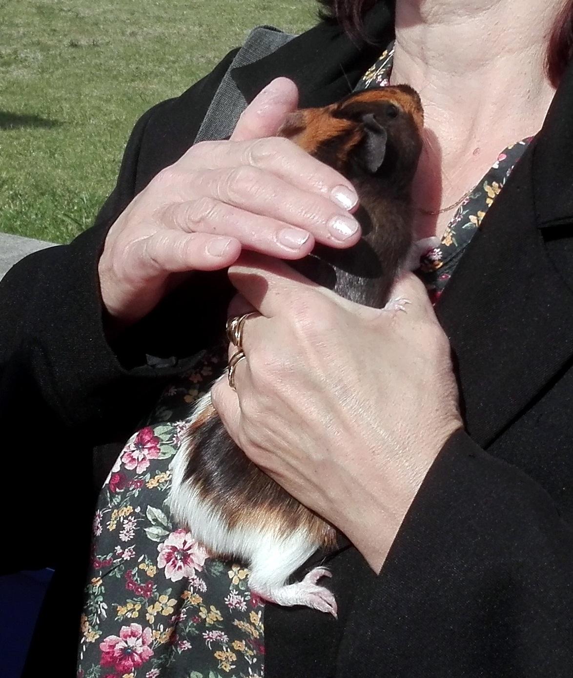 23. 9. Beseda o morčatech, 3. třída - 4