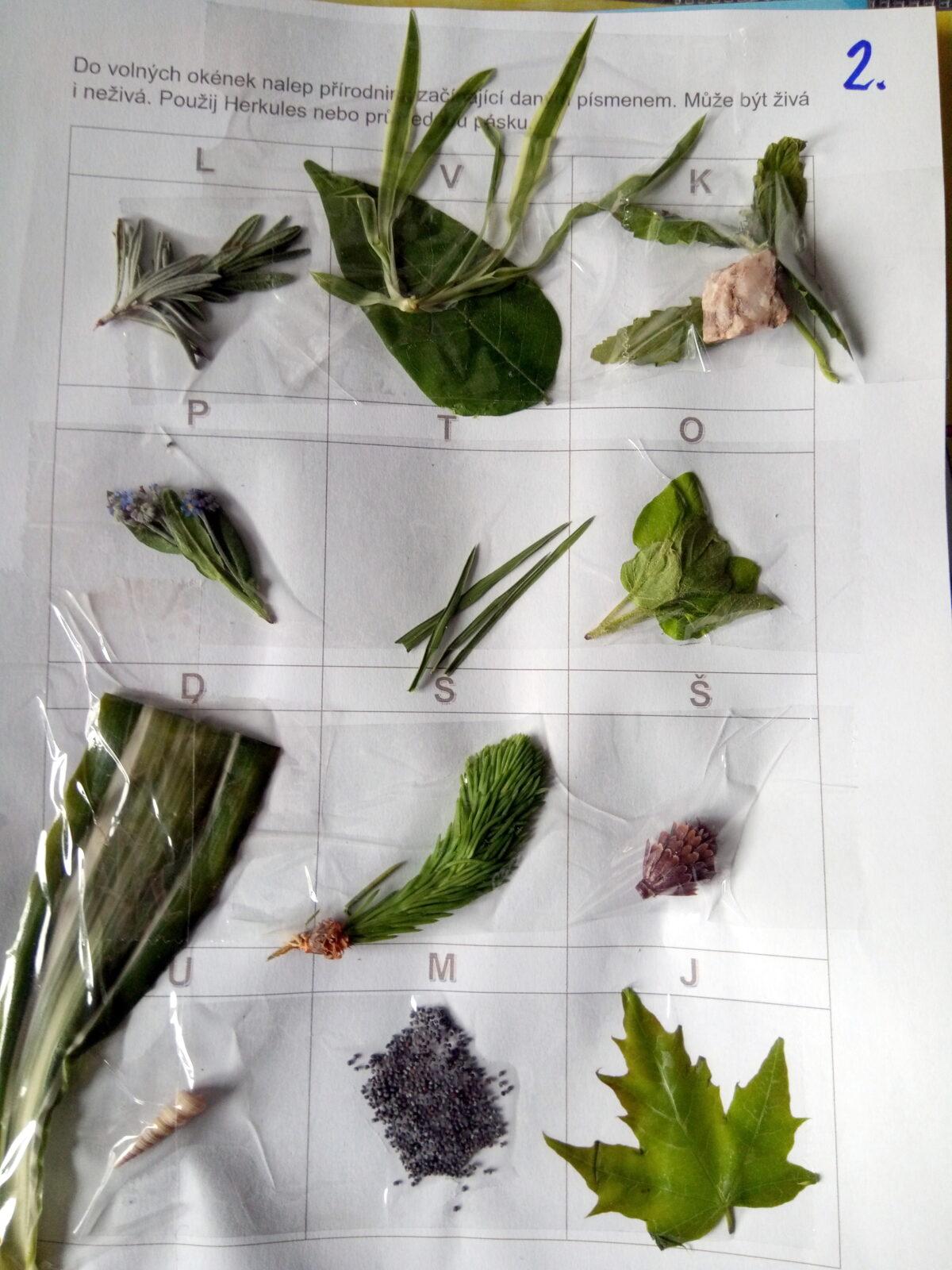 Příroda u třeťáčků 30. 5. - 12