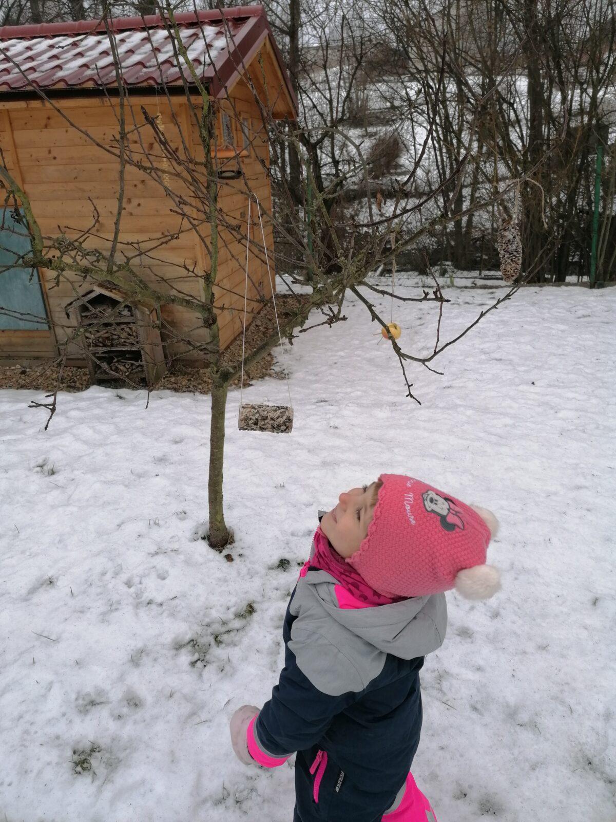 Krmítka pro ptáčky :-) - 46