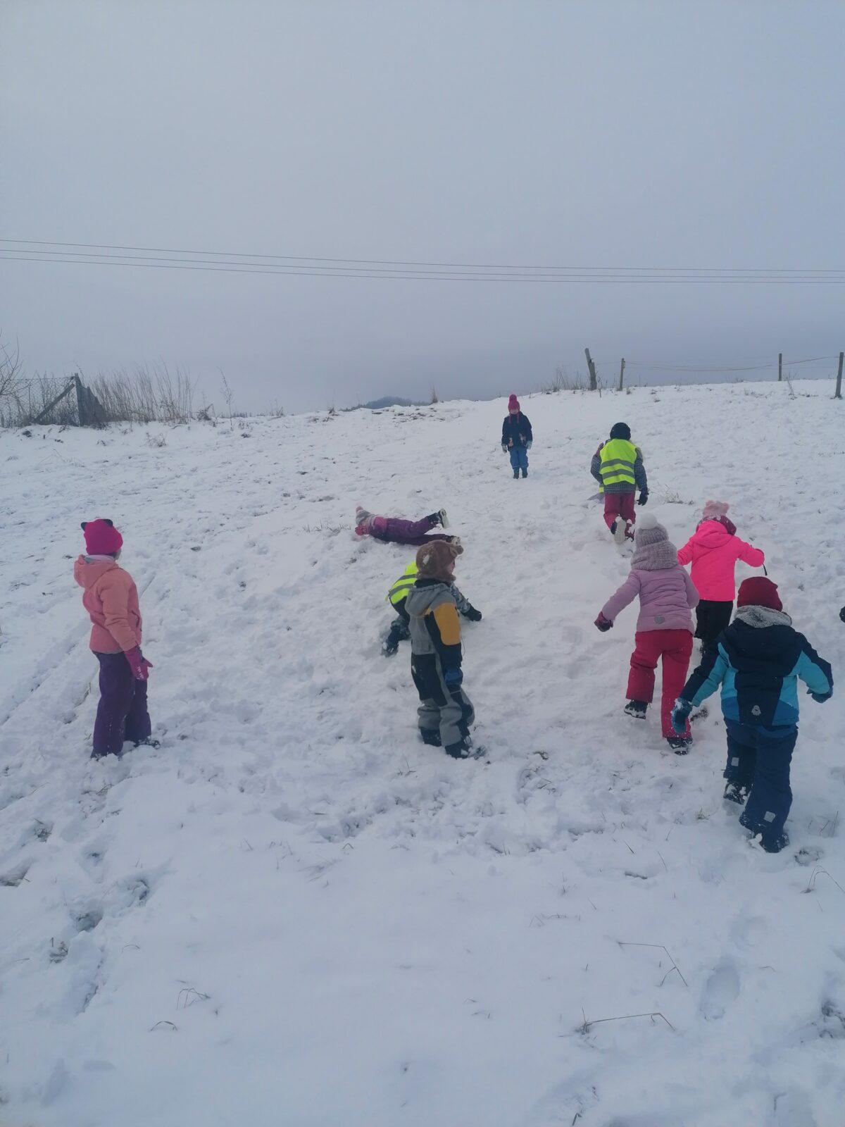 Dovádíme ve sněhu!!!!! :-) - 13