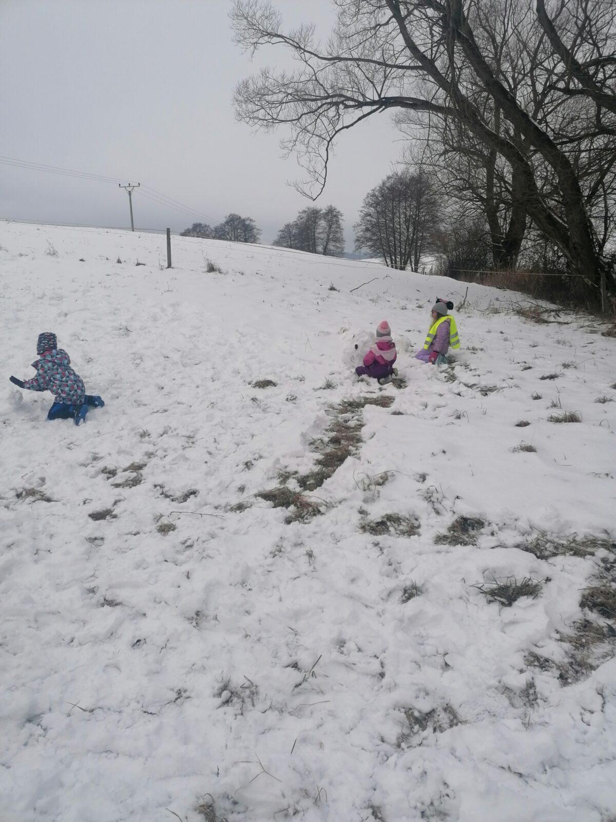 Dovádíme ve sněhu!!!!! :-) - 15
