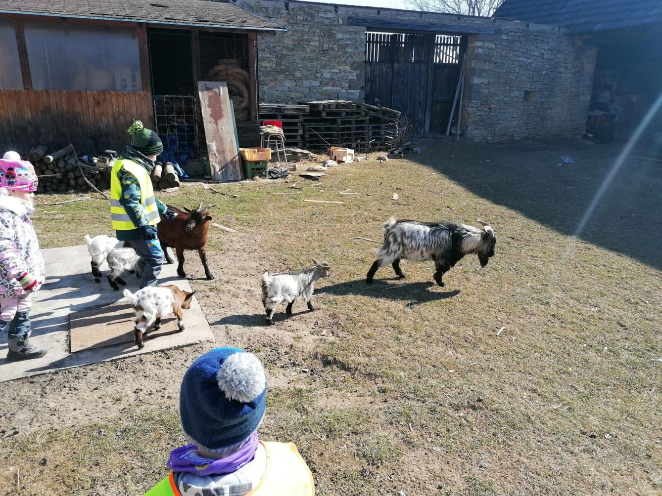 "Máme rádi zvířata" aneb "vycházky za zvířátky" :-) - 16