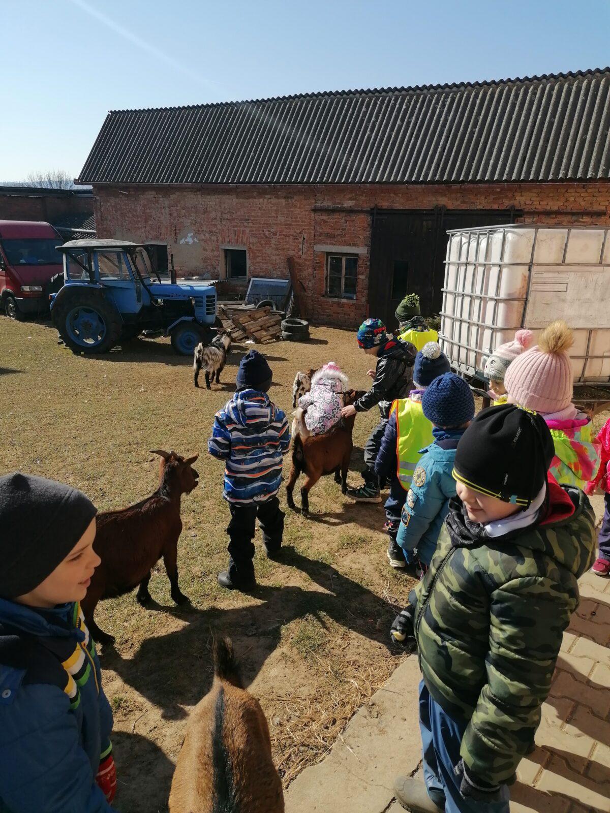 "Máme rádi zvířata" aneb "vycházky za zvířátky" :-) - 19