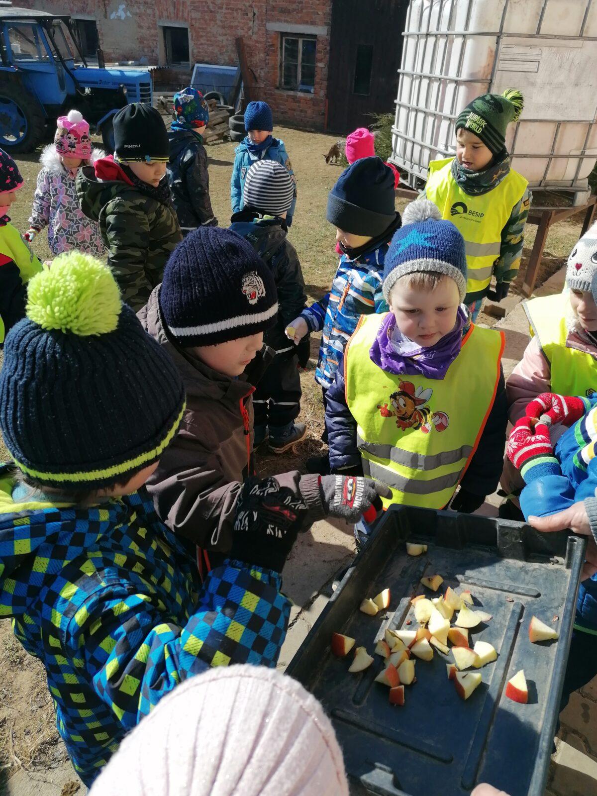 "Máme rádi zvířata" aneb "vycházky za zvířátky" :-) - 21