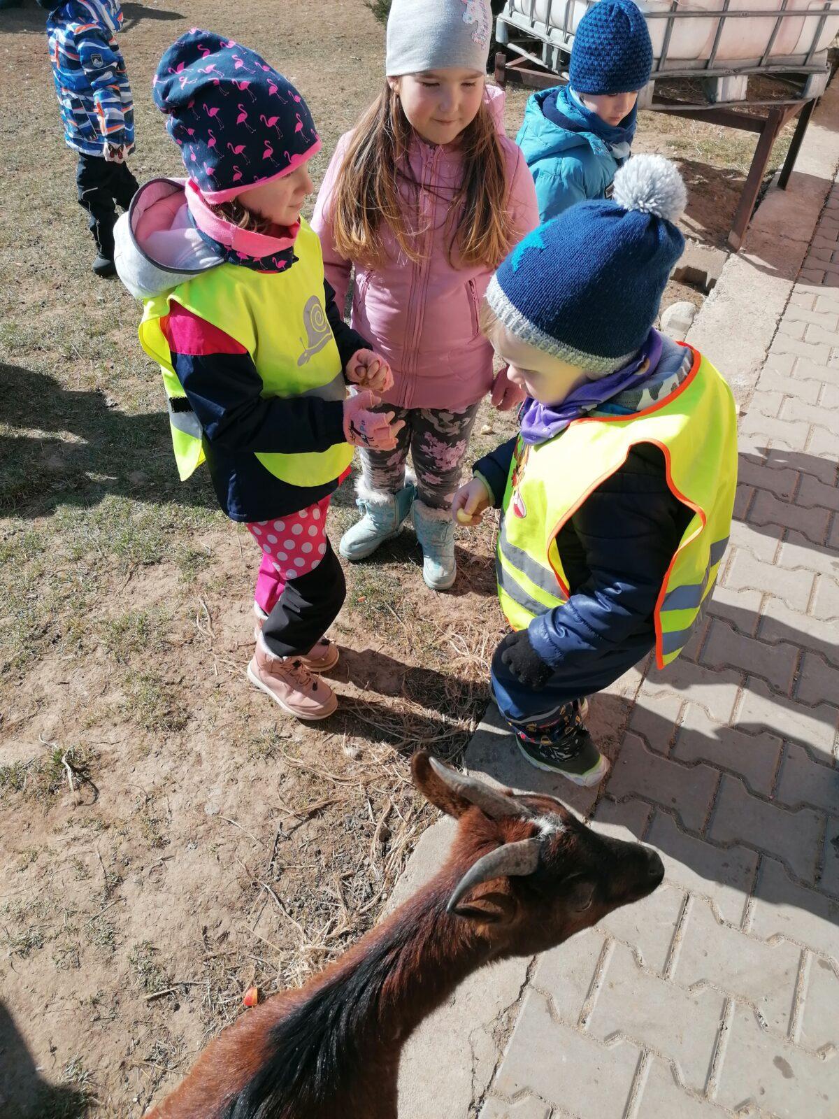 "Máme rádi zvířata" aneb "vycházky za zvířátky" :-) - 22