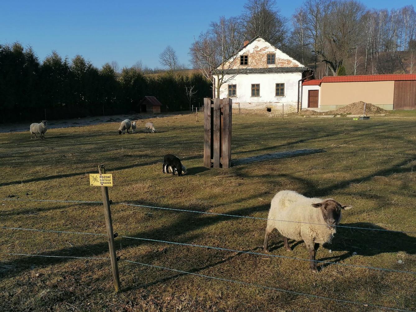 výlet na výstavu pavouků v Ústí nad Orlicí :-) - 4