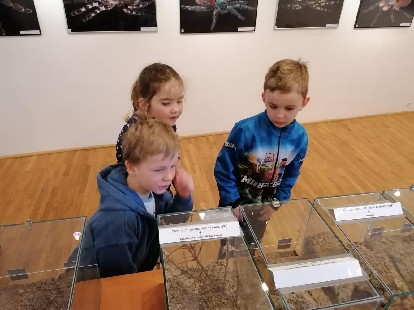 výlet na výstavu pavouků v Ústí nad Orlicí :-) - 60