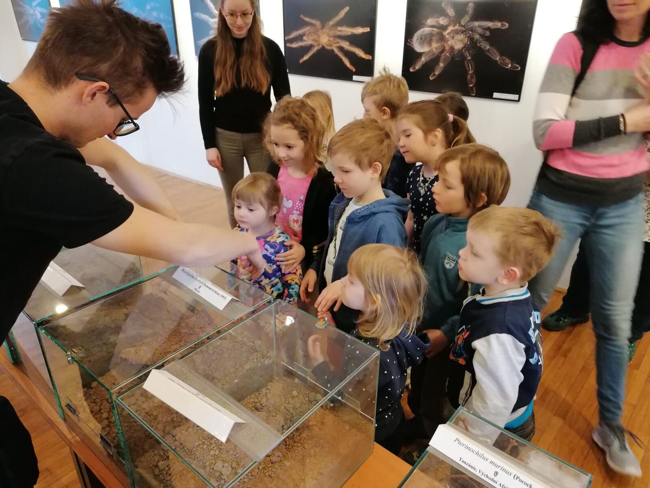 výlet na výstavu pavouků v Ústí nad Orlicí :-) - 66