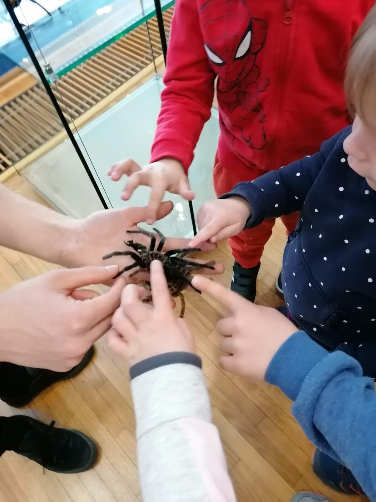 výlet na výstavu pavouků v Ústí nad Orlicí :-) - 75