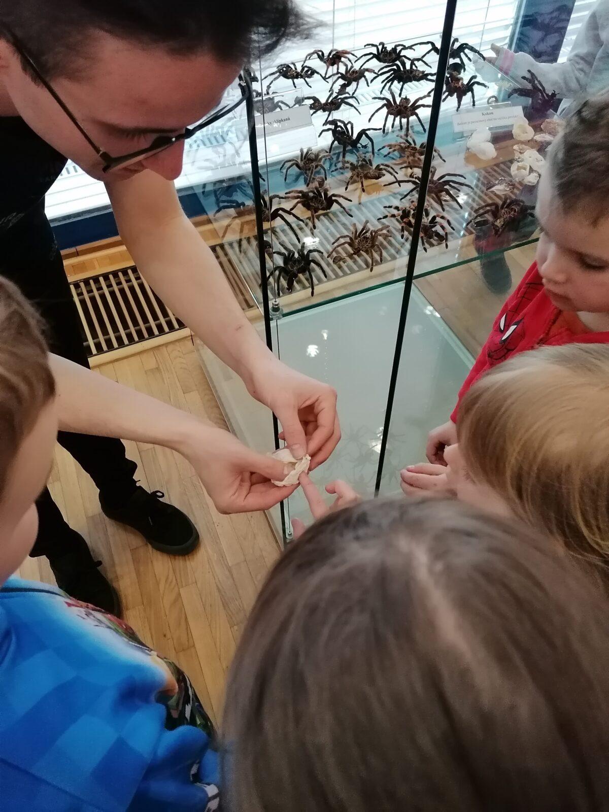 výlet na výstavu pavouků v Ústí nad Orlicí :-) - 76