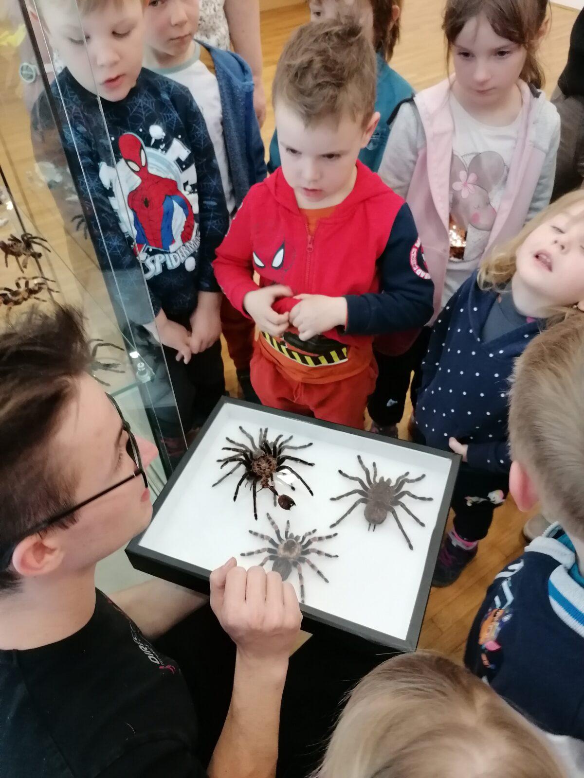 výlet na výstavu pavouků v Ústí nad Orlicí :-) - 84