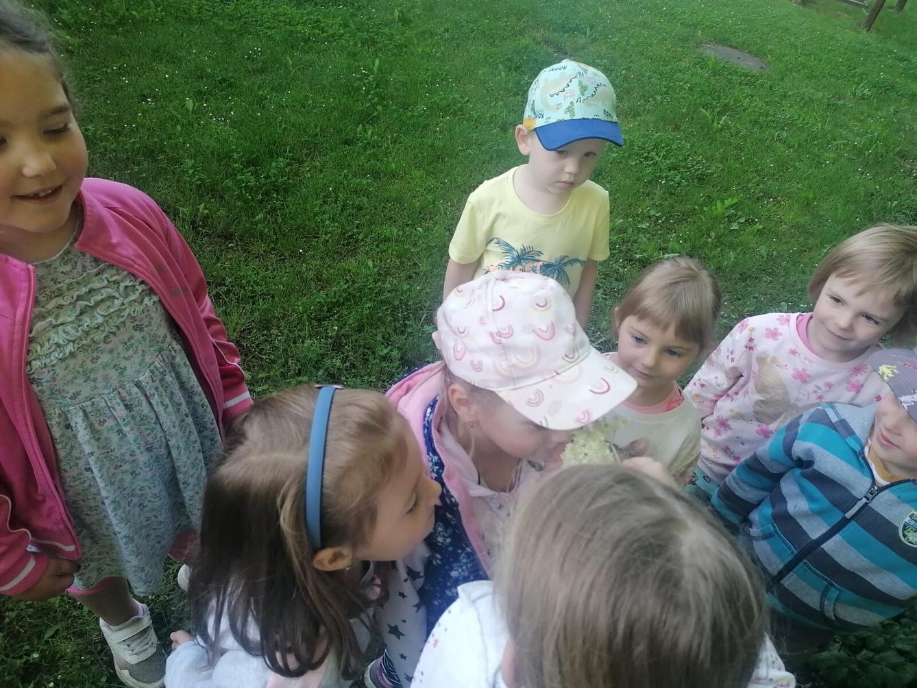 Tvořeníčko, tvoření: "Čím budu až vyrostu?" - vyrábíme bezovou šťávu :-) - 3