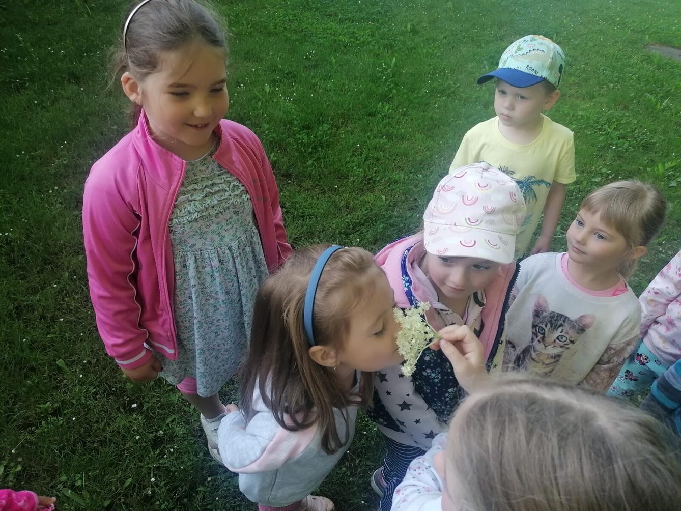 Tvořeníčko, tvoření: "Čím budu až vyrostu?" - vyrábíme bezovou šťávu :-) - 4