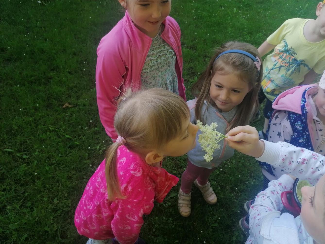 Tvořeníčko, tvoření: "Čím budu až vyrostu?" - vyrábíme bezovou šťávu :-) - 5