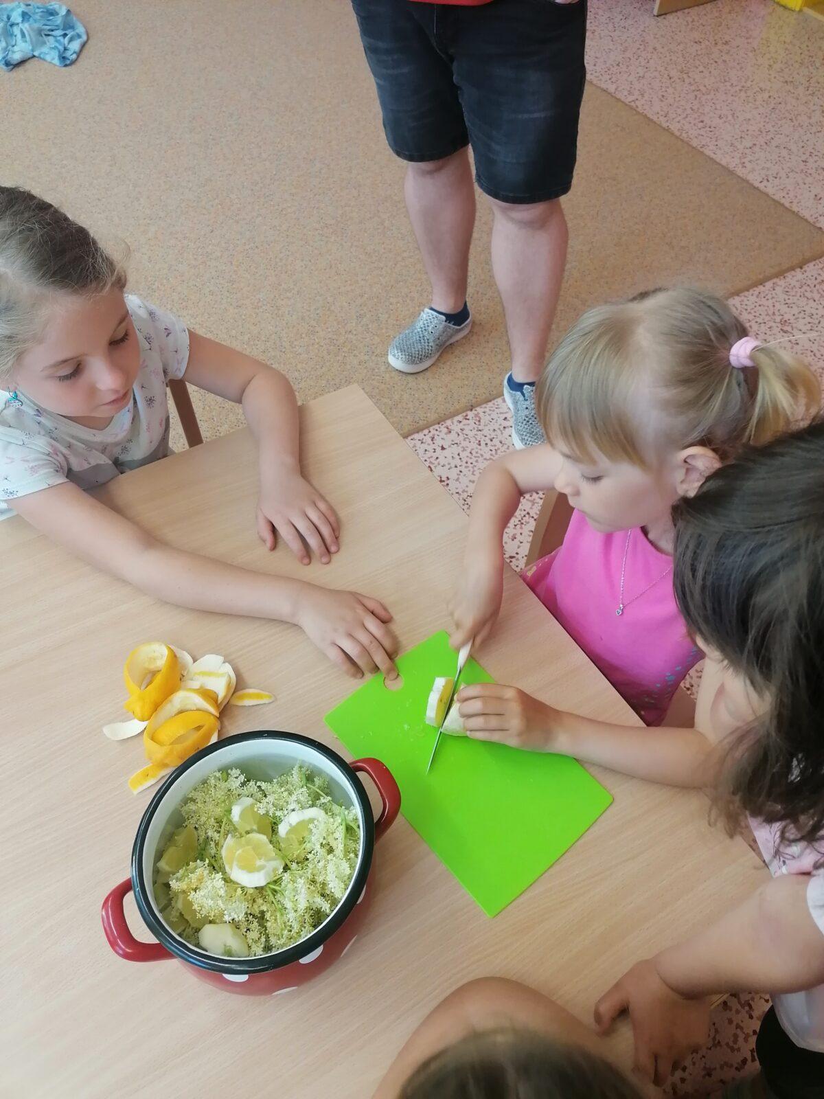 Tvořeníčko, tvoření: "Čím budu až vyrostu?" - vyrábíme bezovou šťávu :-) - 21