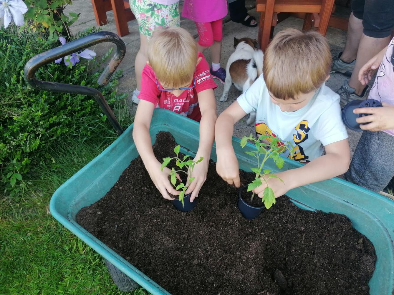 Tvořeníčko, tvoření: "Čím budu až vyrostu?"; zahradníci :-) - 11