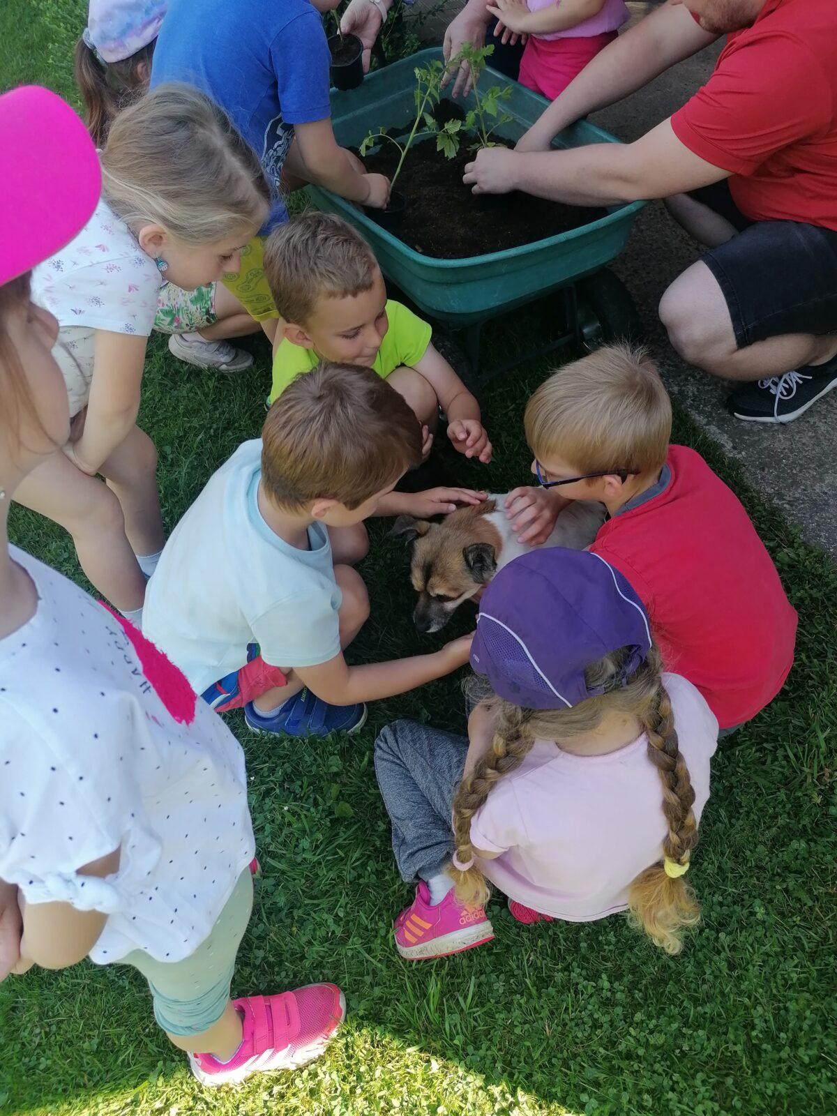 Tvořeníčko, tvoření: "Čím budu až vyrostu?"; zahradníci :-) - 17