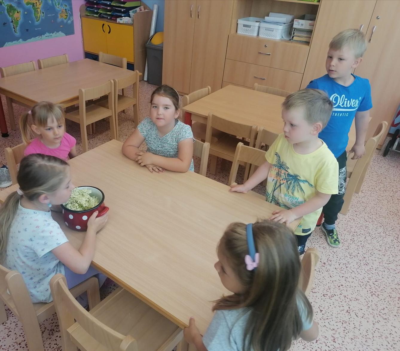 Tvořeníčko, tvoření: "Čím budu až vyrostu?" - vyrábíme bezovou šťávu :-) - 26