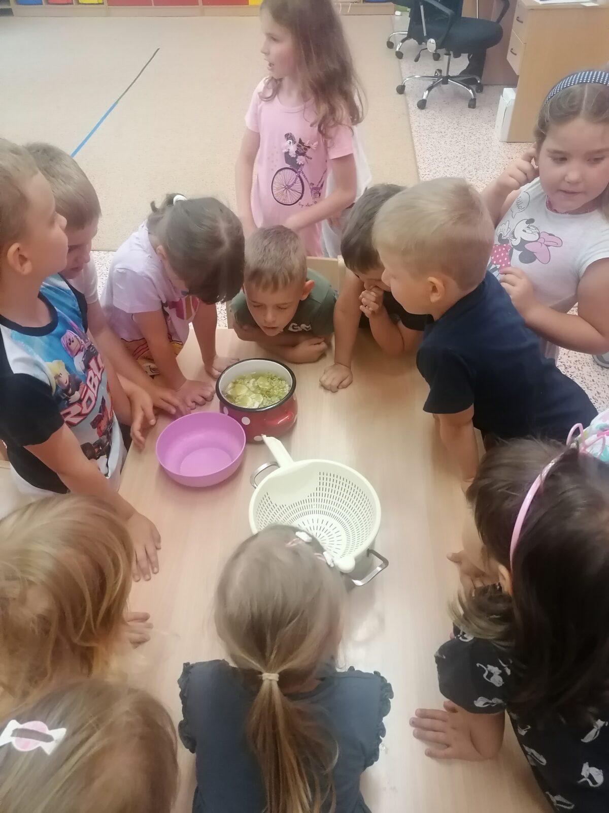 Tvořeníčko, tvoření: "Čím budu až vyrostu?" - vyrábíme bezovou šťávu :-) - 28