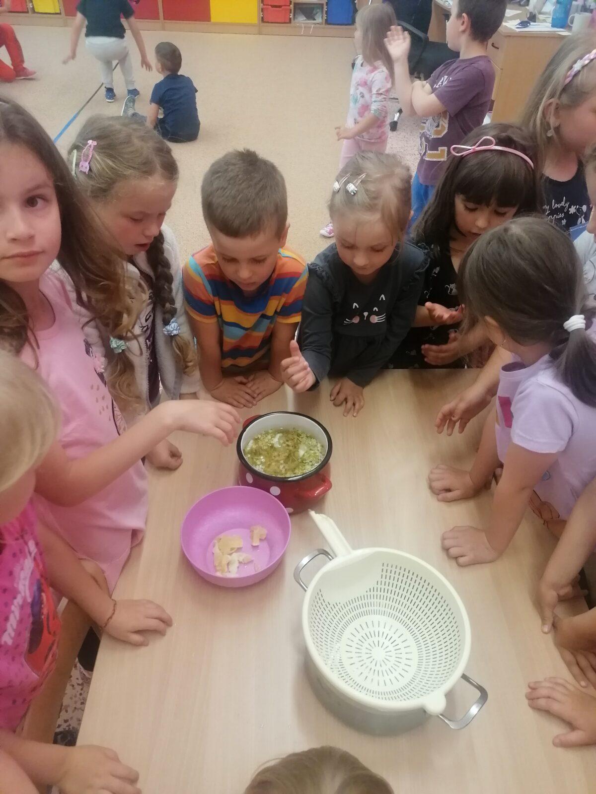 Tvořeníčko, tvoření: "Čím budu až vyrostu?" - vyrábíme bezovou šťávu :-) - 36