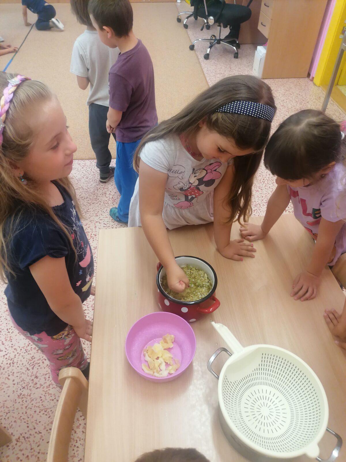 Tvořeníčko, tvoření: "Čím budu až vyrostu?" - vyrábíme bezovou šťávu :-) - 42