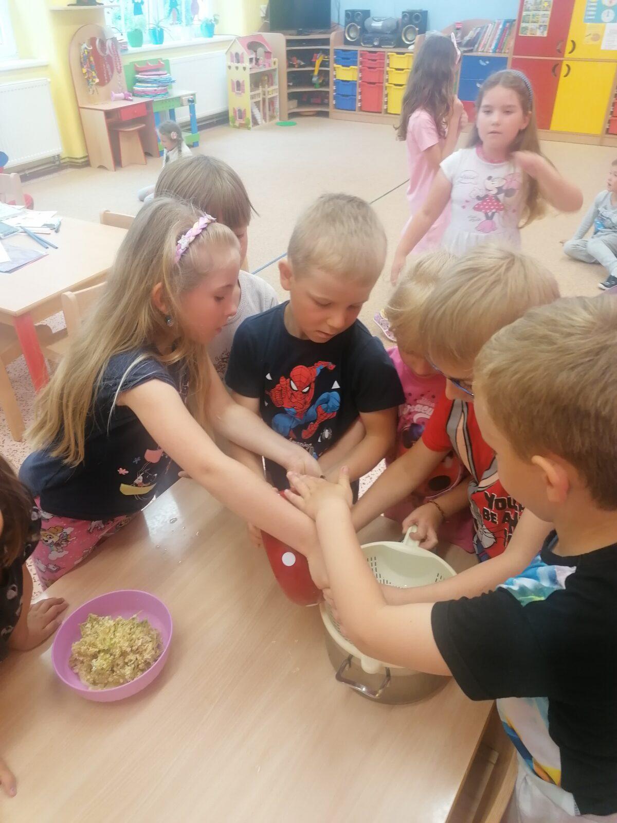 Tvořeníčko, tvoření: "Čím budu až vyrostu?" - vyrábíme bezovou šťávu :-) - 53