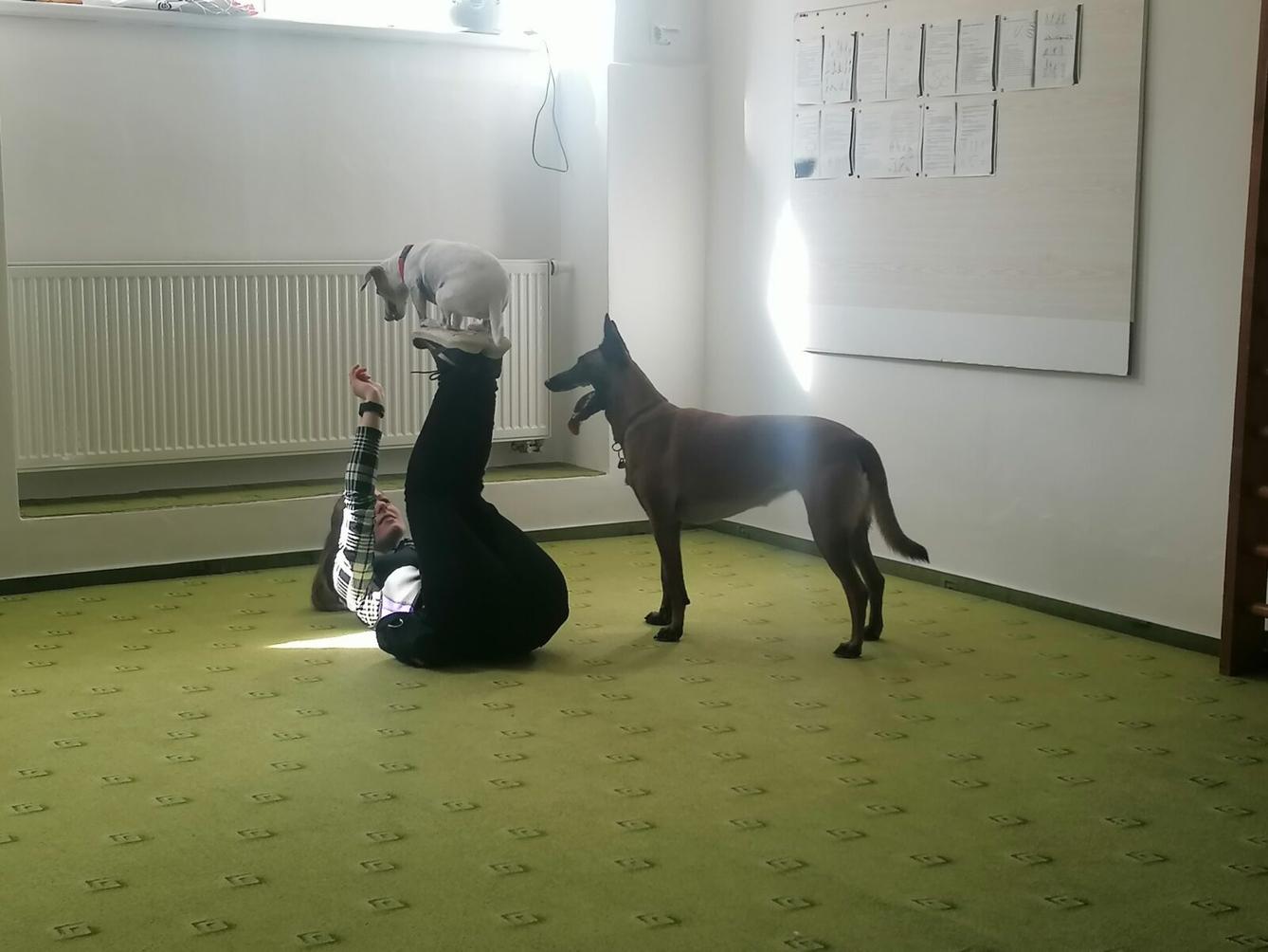 Projektový den v MŠ: "AGILITY" :-) - 1