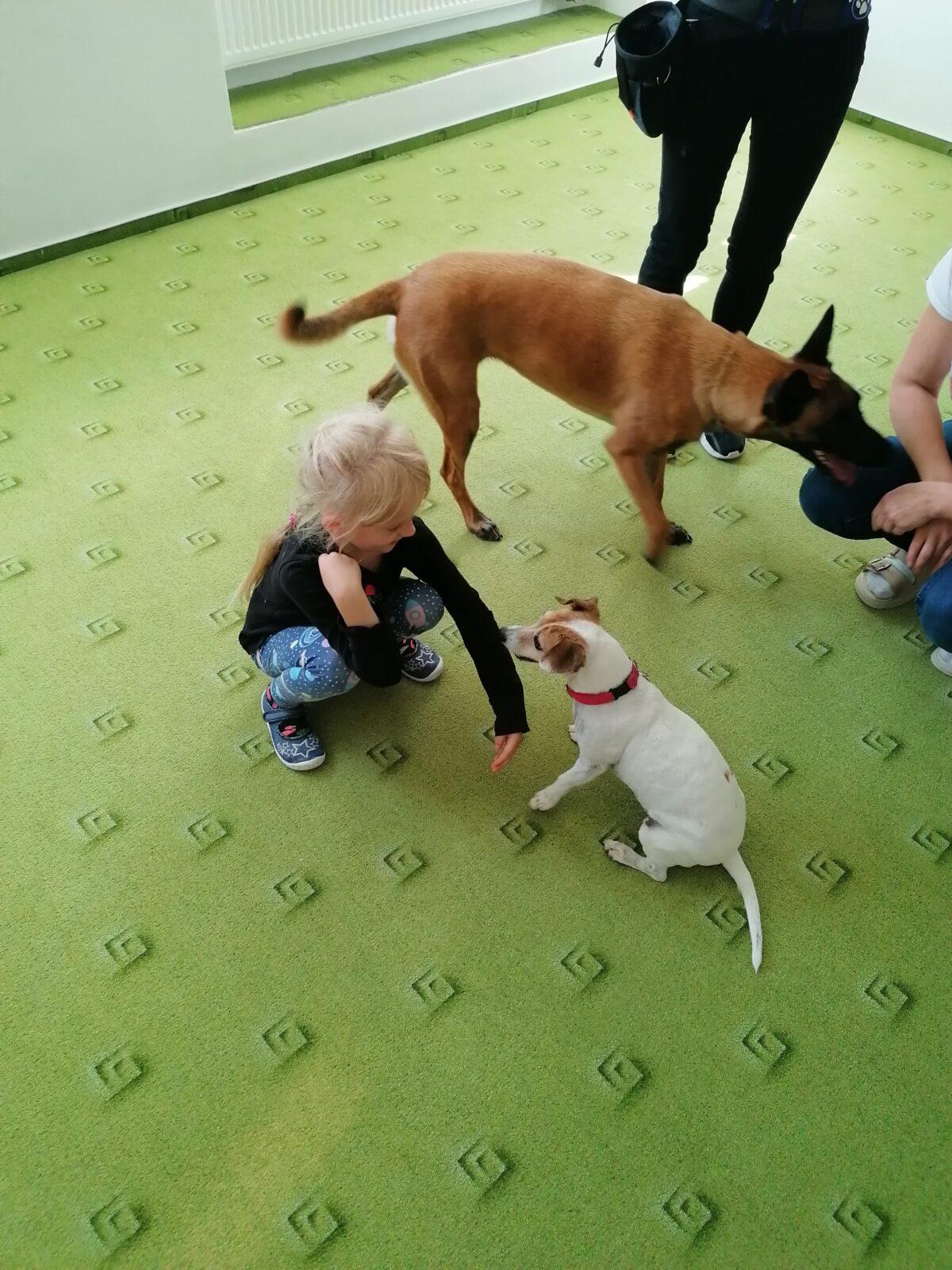 Projektový den v MŠ: "AGILITY" :-) - 10