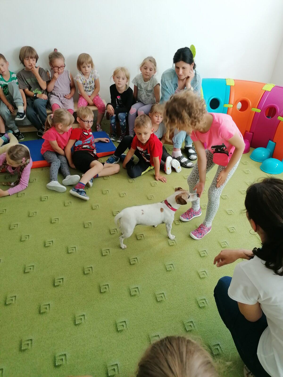 Projektový den v MŠ: "AGILITY" :-) - 19