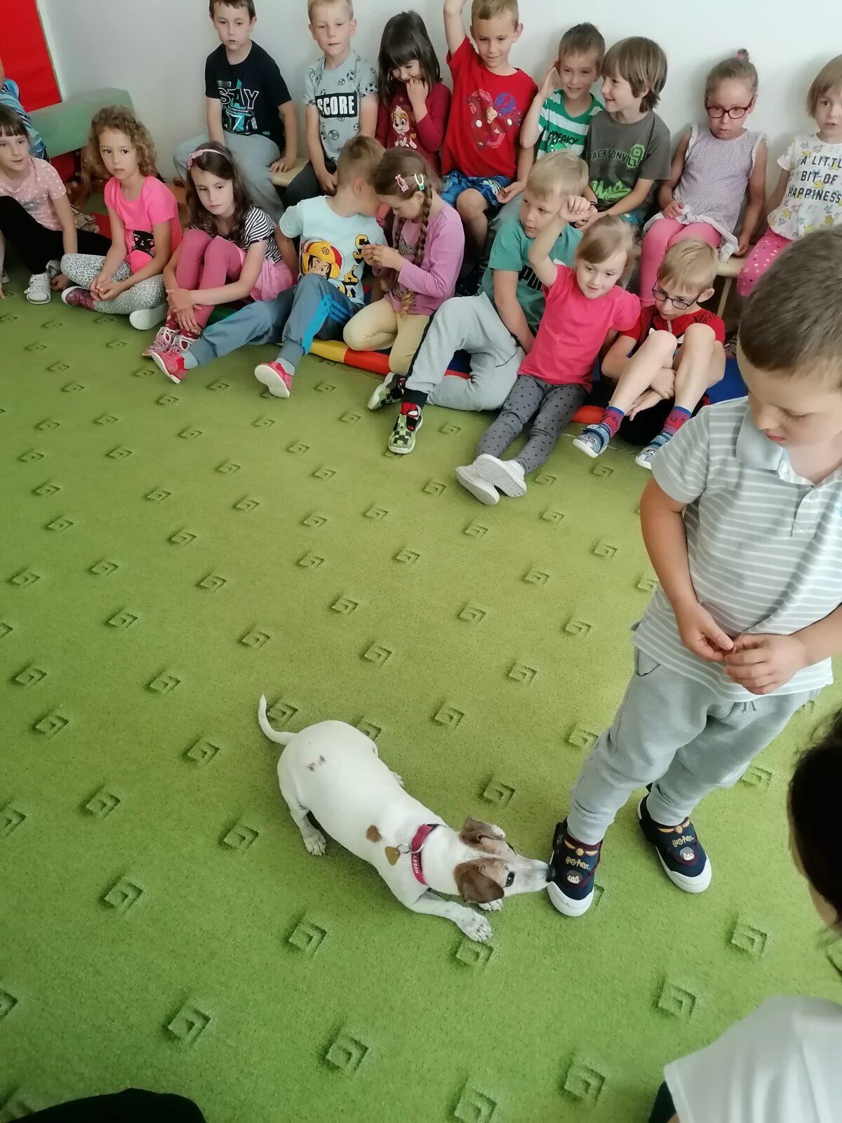 Projektový den v MŠ: "AGILITY" :-) - 22