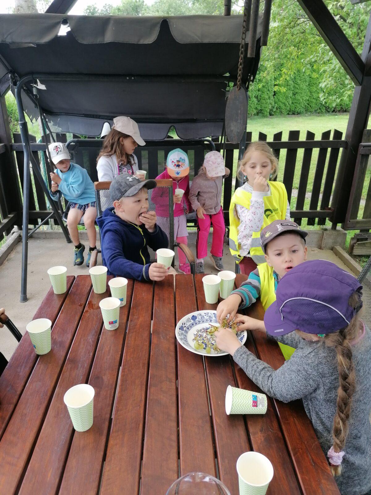 Projektový den v MŠ: "AGILITY" :-) - 41