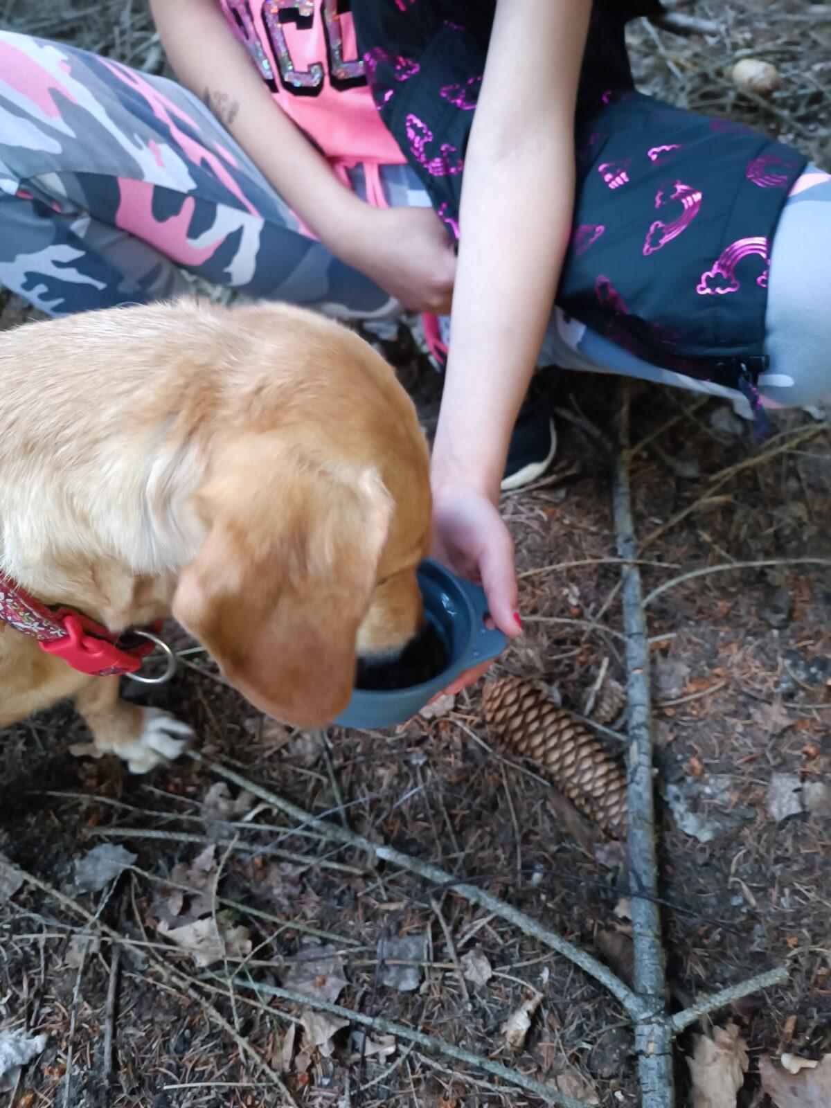 TLAPKY - spaní ve škole - 32