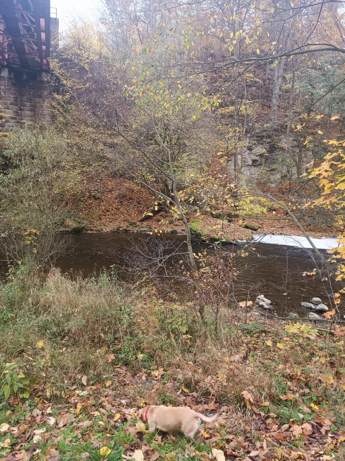 TLAPKY - říjen - 16