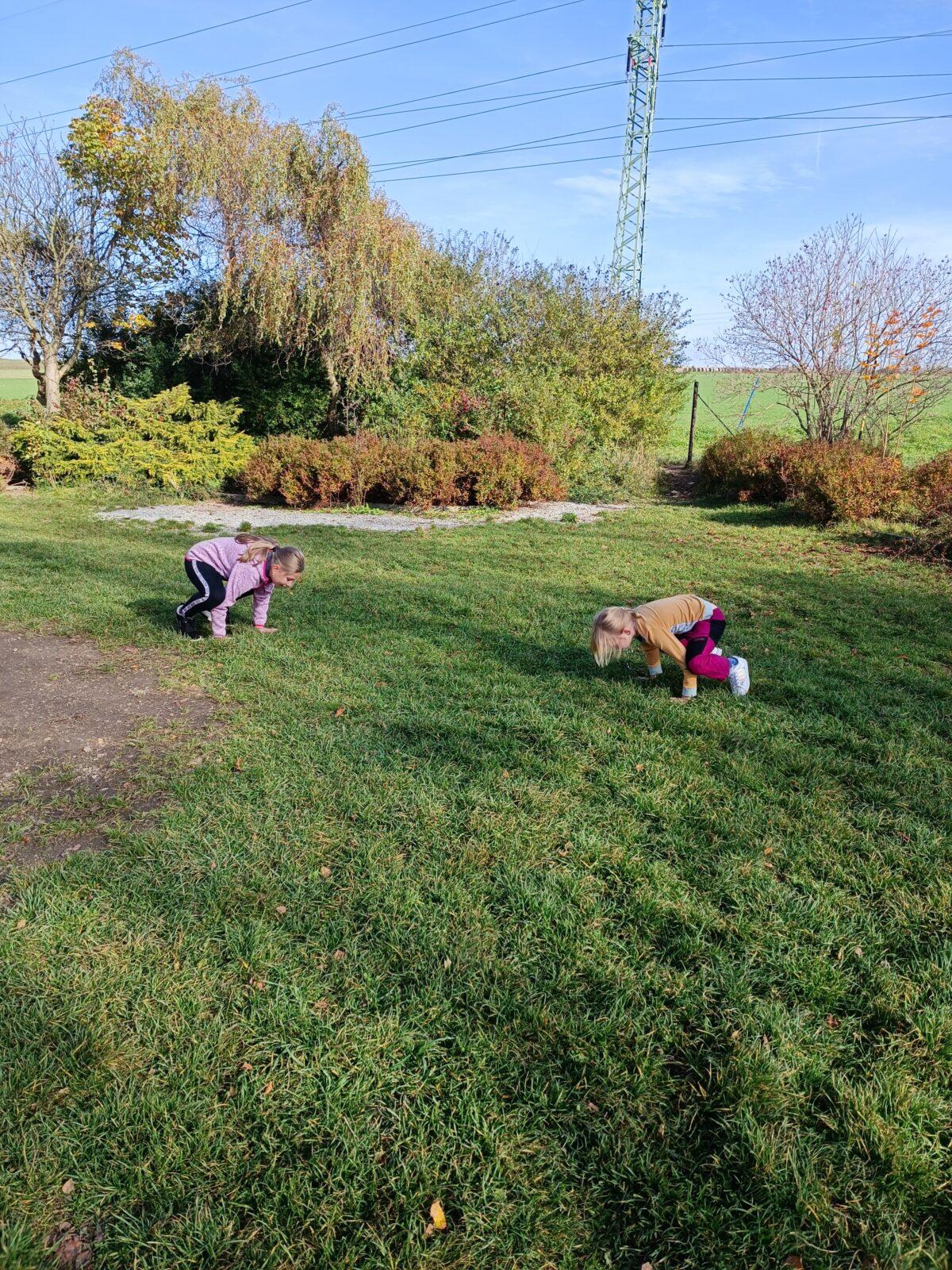 TLAPKY - říjen - 83