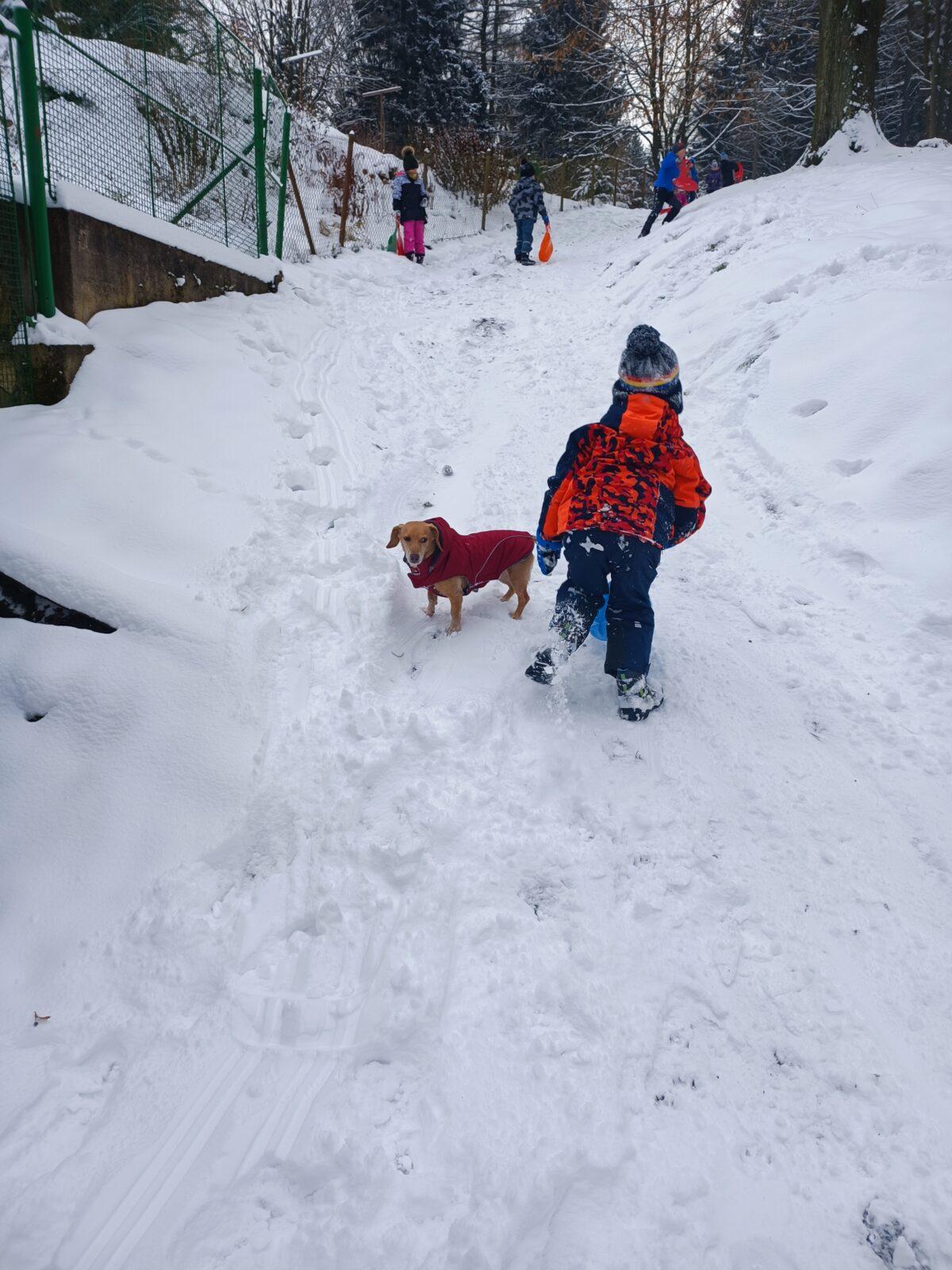 TLAPKY - Andrlův Chlum - 22