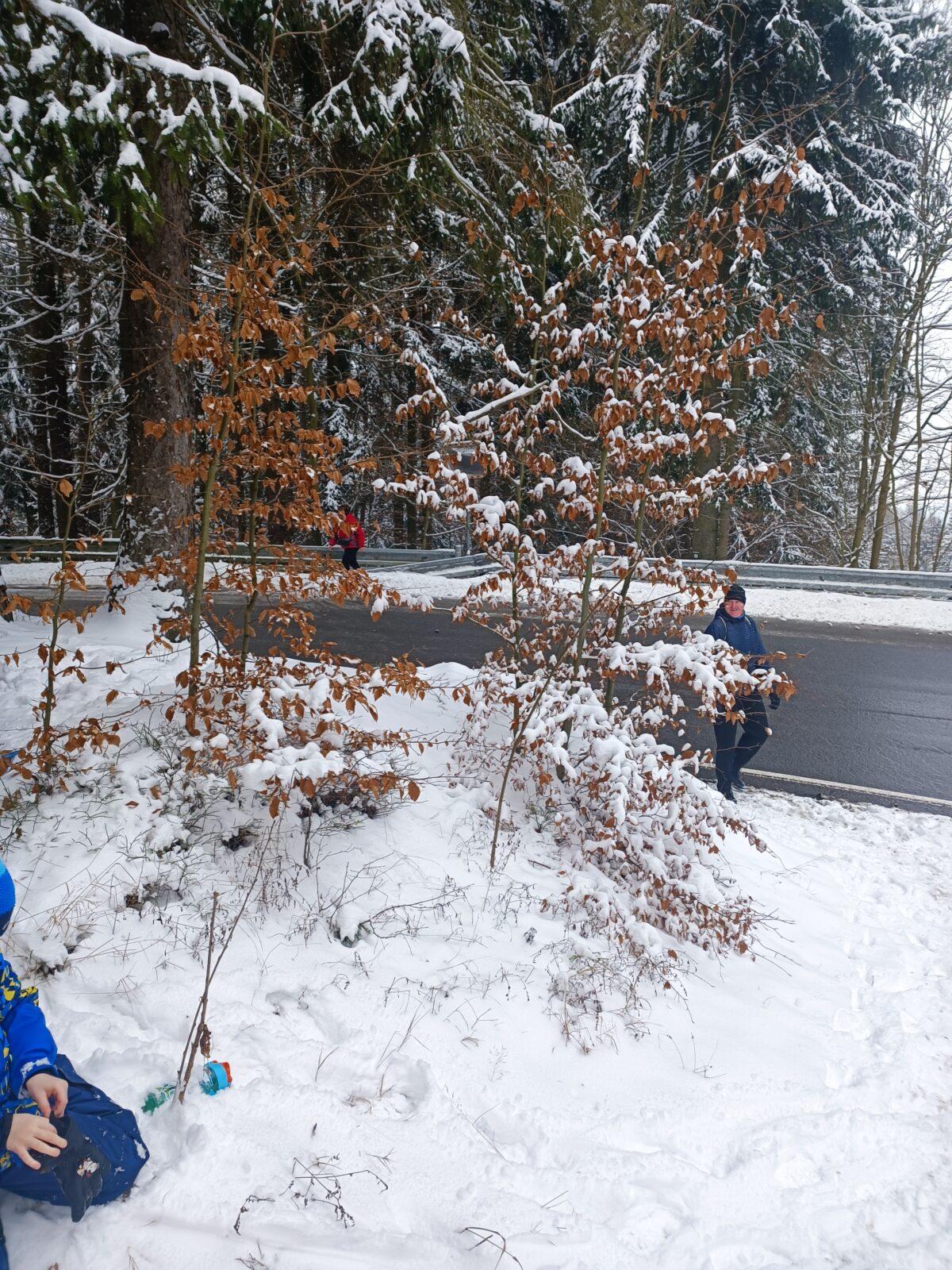 TLAPKY - Andrlův Chlum - 31
